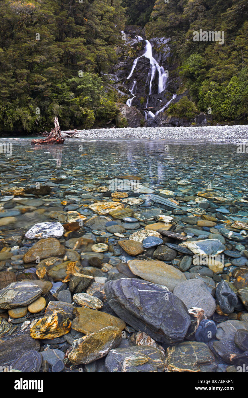 Fantail Falls et crystal clear river, côte ouest, Nouvelle-Zélande Banque D'Images