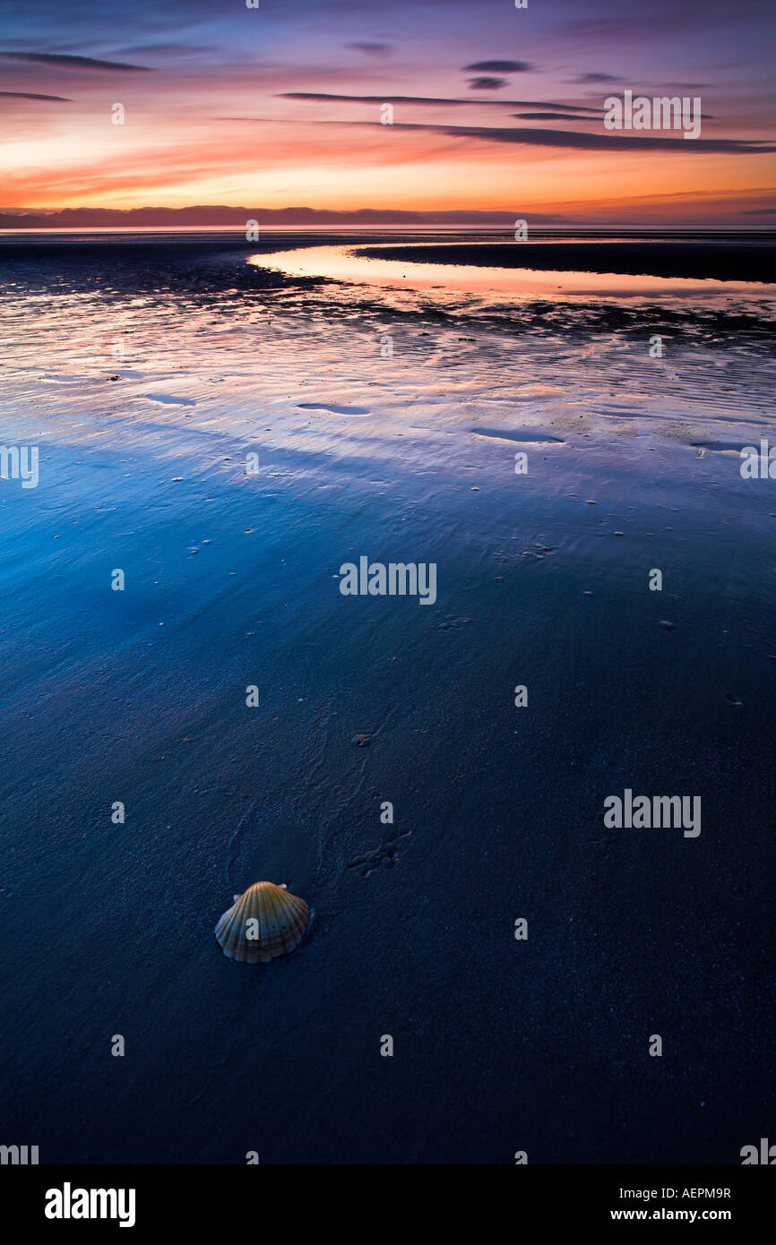 Shell sur Pakawau Beach après le coucher du soleil, parc national Abel Tasman, Nouvelle-Zélande Banque D'Images