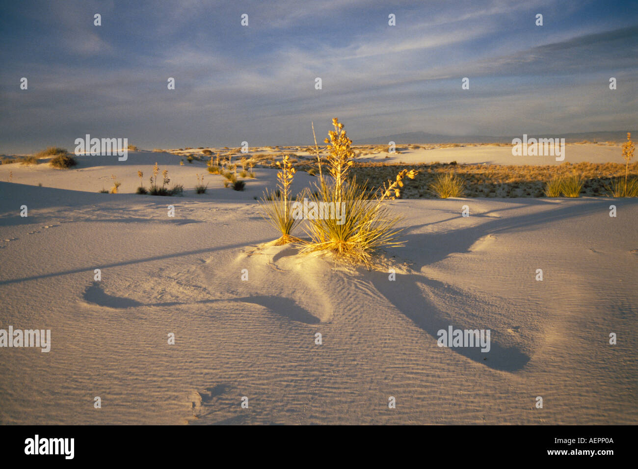 Paysage désertique au lever de White Sands National Monument Nouveau Mexique Banque D'Images