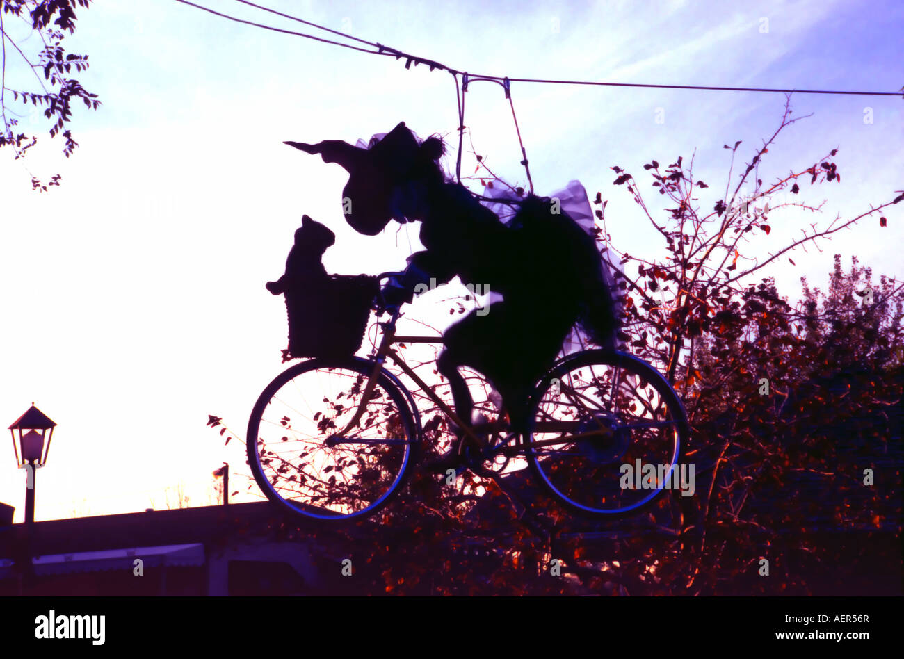 Une sorcière en silhouette est équitation son vélo, bien qu'en vol, avec son chat noir au crépuscule dans l'Utah, USA. Banque D'Images