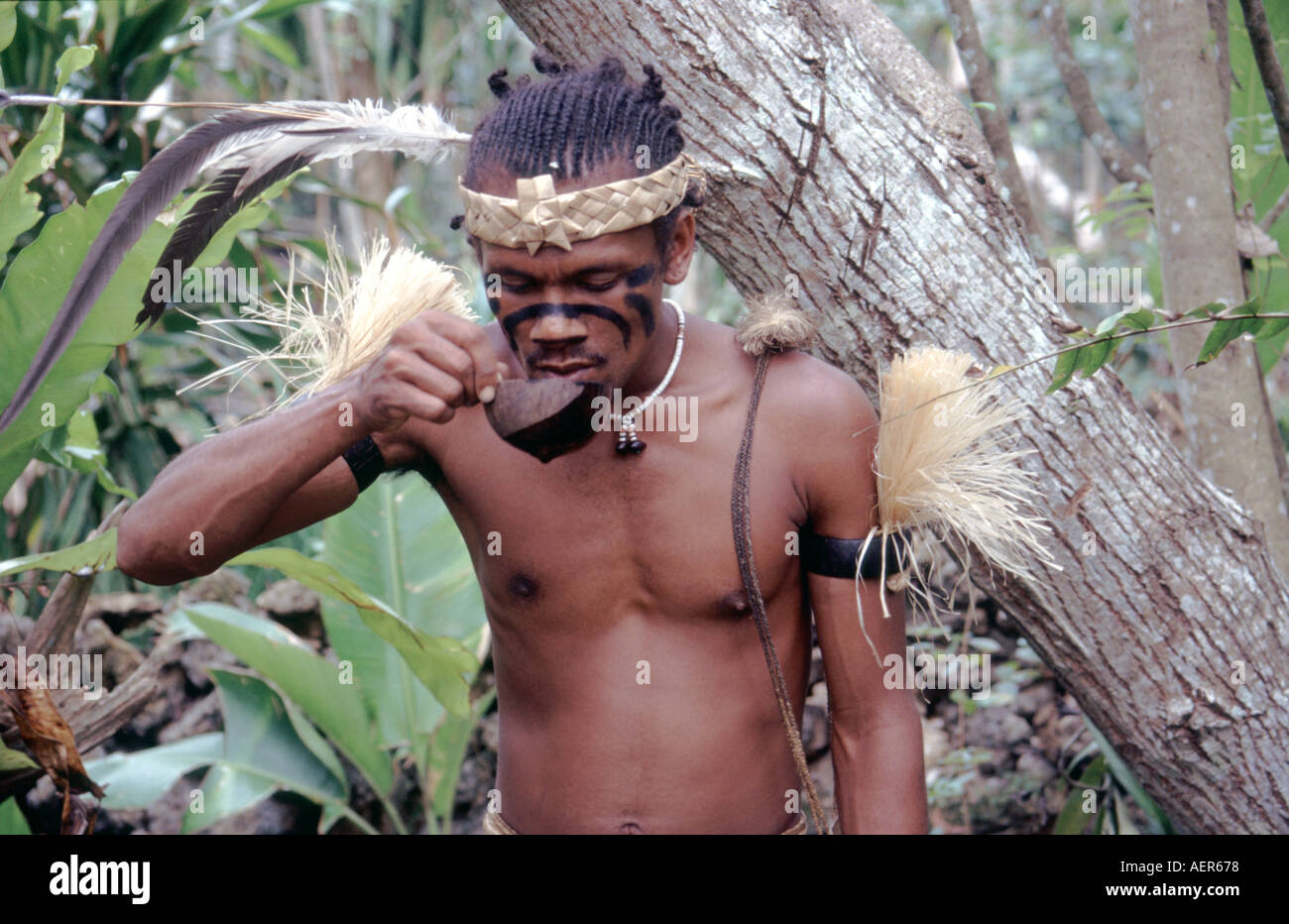 Dégustation de kava Ekasup Village culturel sur l'île d'Efate au Vanuatu Banque D'Images