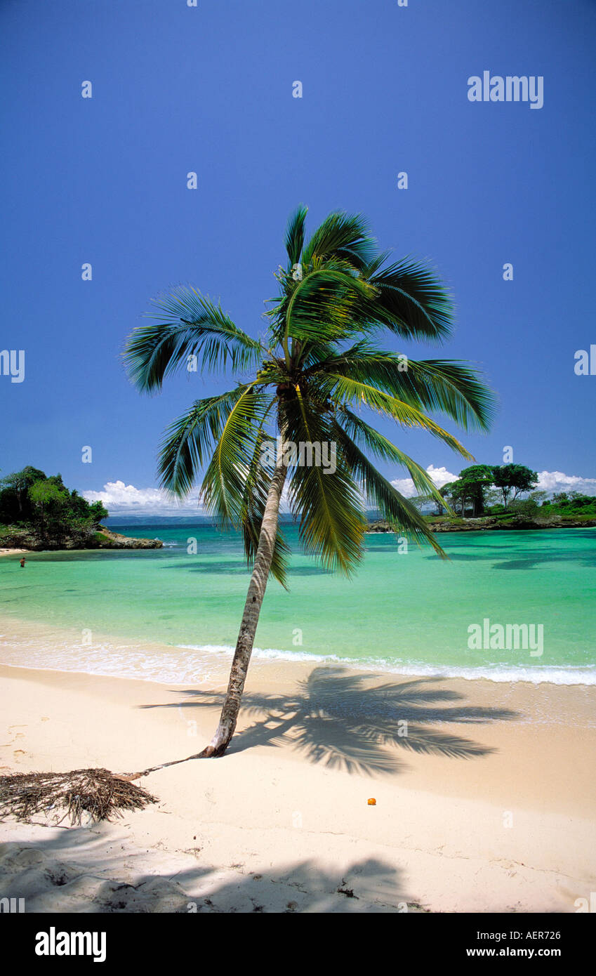 Tropical Beach sur l'île de Cayo Levantado république dominicaine archipel des Grandes antilles caraïbes Banque D'Images