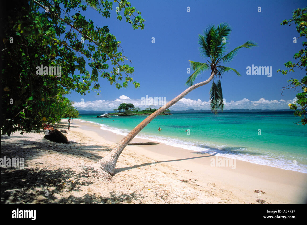 Tropical Beach sur l'île de Cayo Levantado république dominicaine archipel des Grandes antilles caraïbes Banque D'Images