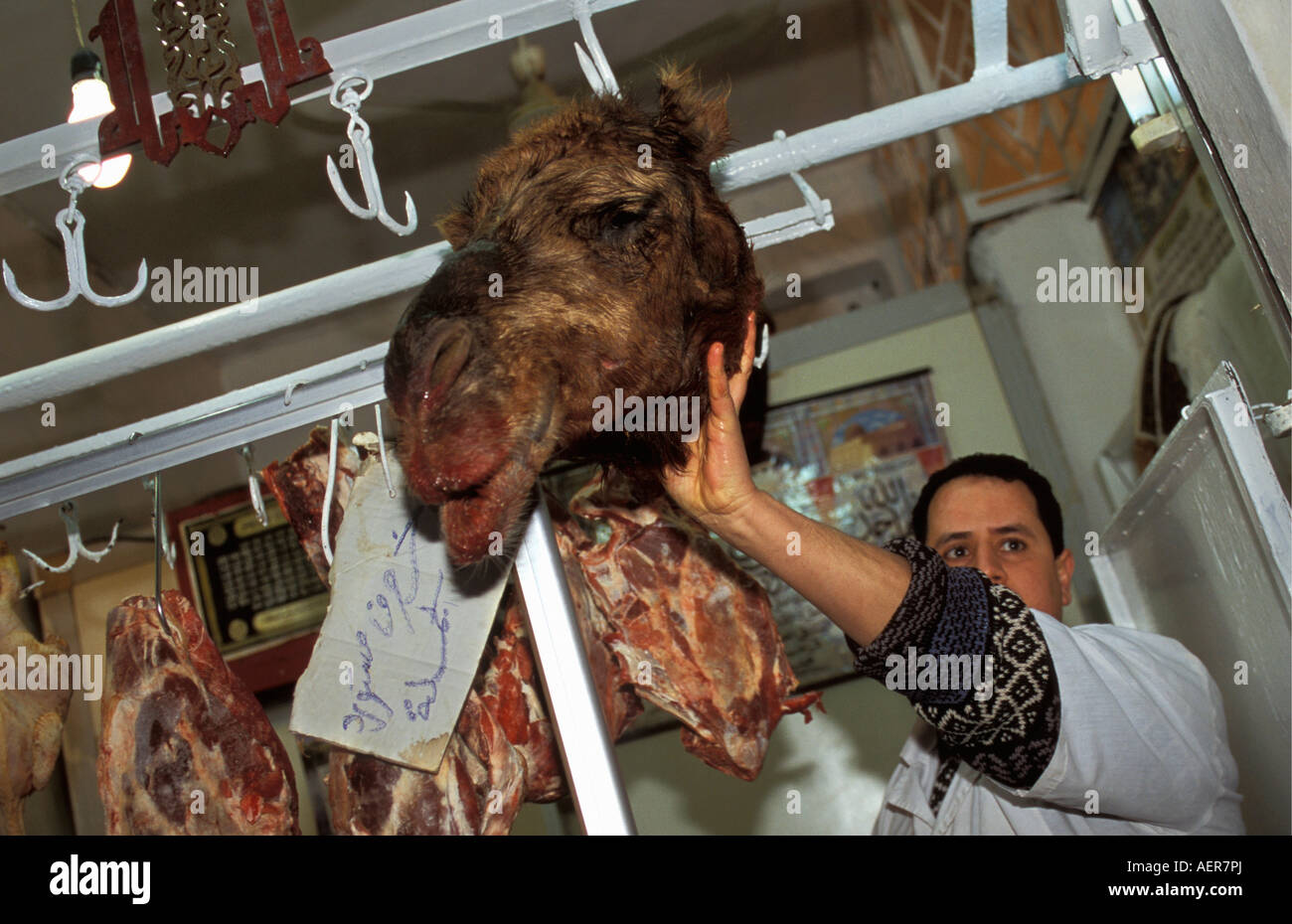 Libye Tripoli Butcher holding la viande de chameau Banque D'Images
