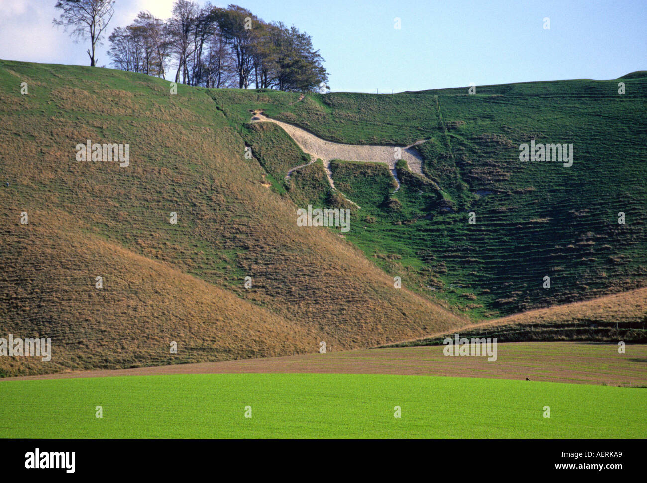 Le Vega White Horse Wiltshire Angleterre Banque D'Images