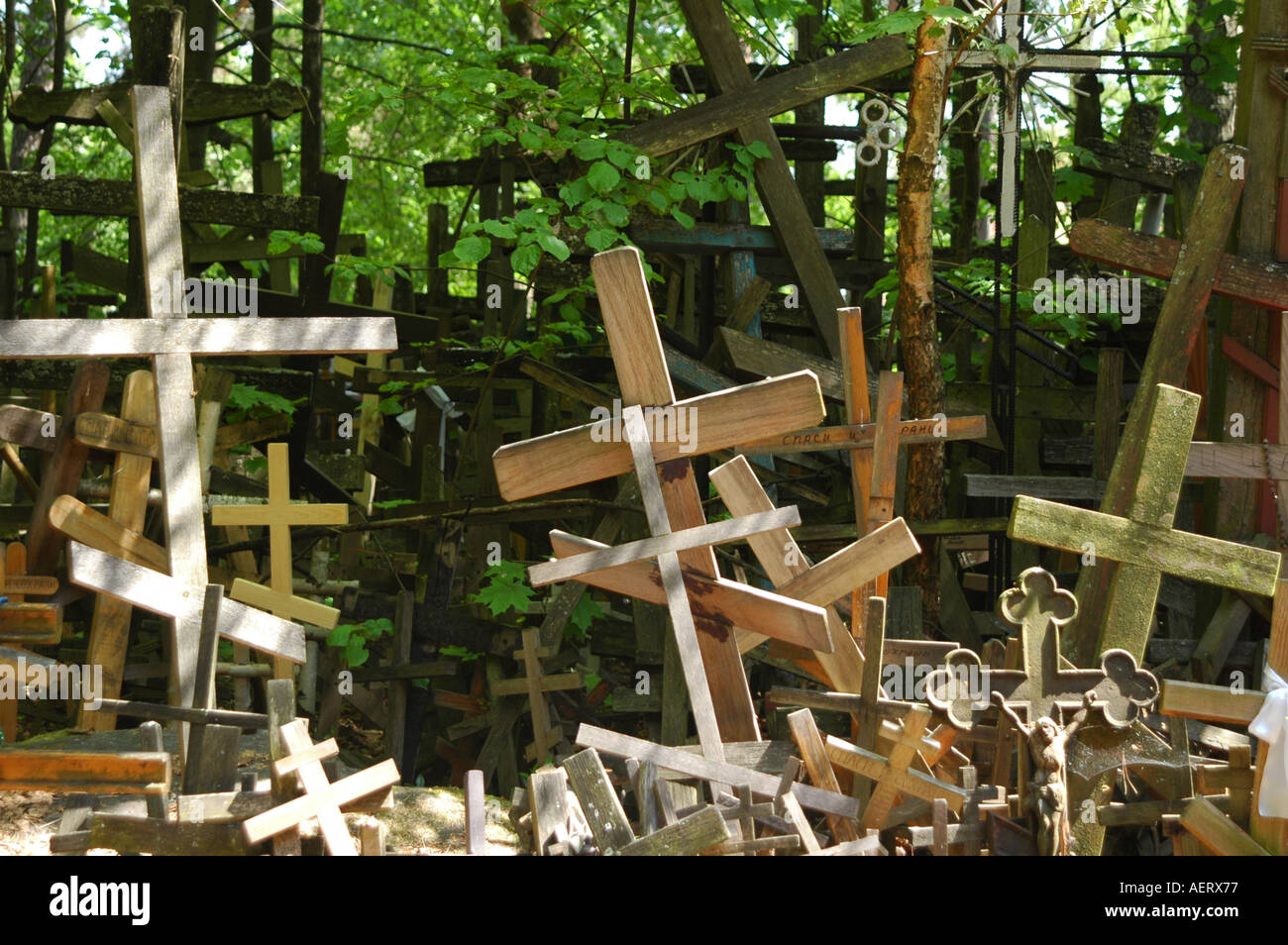 Des croix à Mont de Grabarka en Pologne Banque D'Images