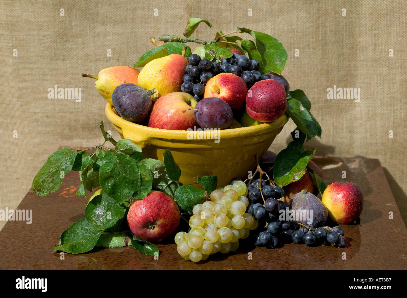 La VIE TOUJOURS DE SAISON AVEC UN ASSORTIMENT DE FRUITS D'AUTOMNE DANS UN BOL JAUNE SUR UNE TABLE DE JARDIN rouillée Banque D'Images