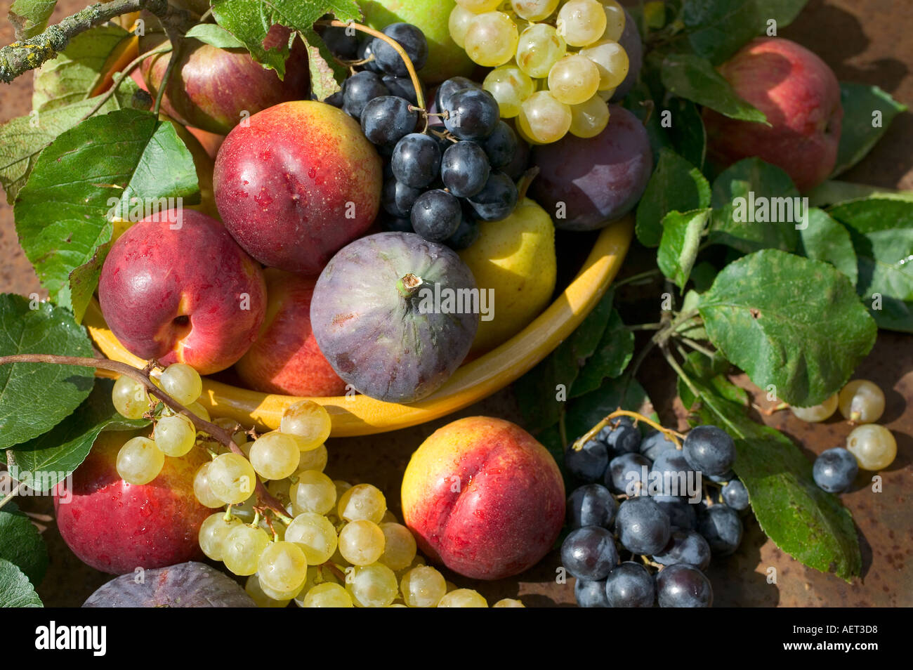 La VIE TOUJOURS DE SAISON AVEC UN ASSORTIMENT DE FRUITS D'AUTOMNE DANS UN BOL JAUNE Banque D'Images