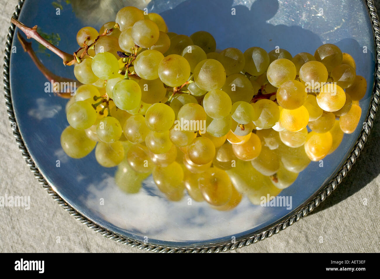 Raisin MUSCAT SUR UNE PLAQUE D'ARGENT Banque D'Images