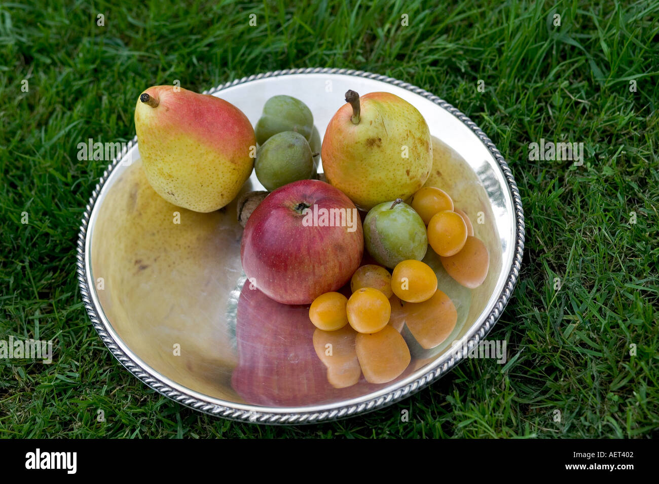 La VIE TOUJOURS DE SAISON AVEC UN ASSORTIMENT DE FRUITS D'AUTOMNE SUR UNE PLAQUE D'ARGENT Banque D'Images