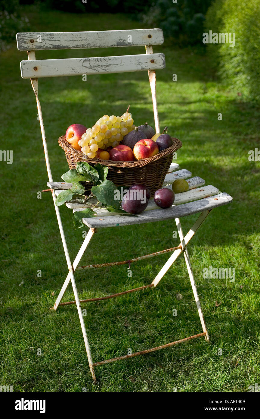 La VIE TOUJOURS DE SAISON AVEC UN ASSORTIMENT DE FRUITS D'AUTOMNE DANS UN PANIER EN OSIER SUR UN FAUTEUIL DE JARDIN BLANC Banque D'Images