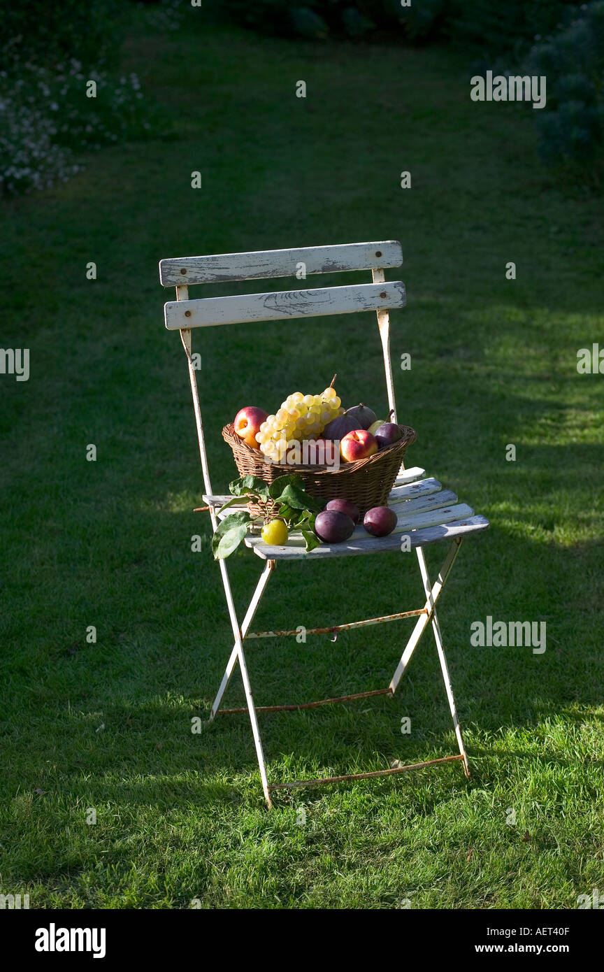 La VIE TOUJOURS DE SAISON AVEC UN ASSORTIMENT DE FRUITS D'AUTOMNE DANS UN PANIER EN OSIER SUR UN FAUTEUIL DE JARDIN BLANC Banque D'Images