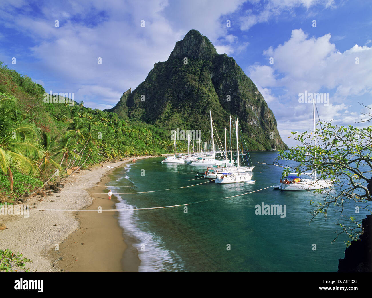 Petit Piton au-dessus de la Baie d'Margretoute sur St Lucia près du village de Soufrière dans West Indies Banque D'Images