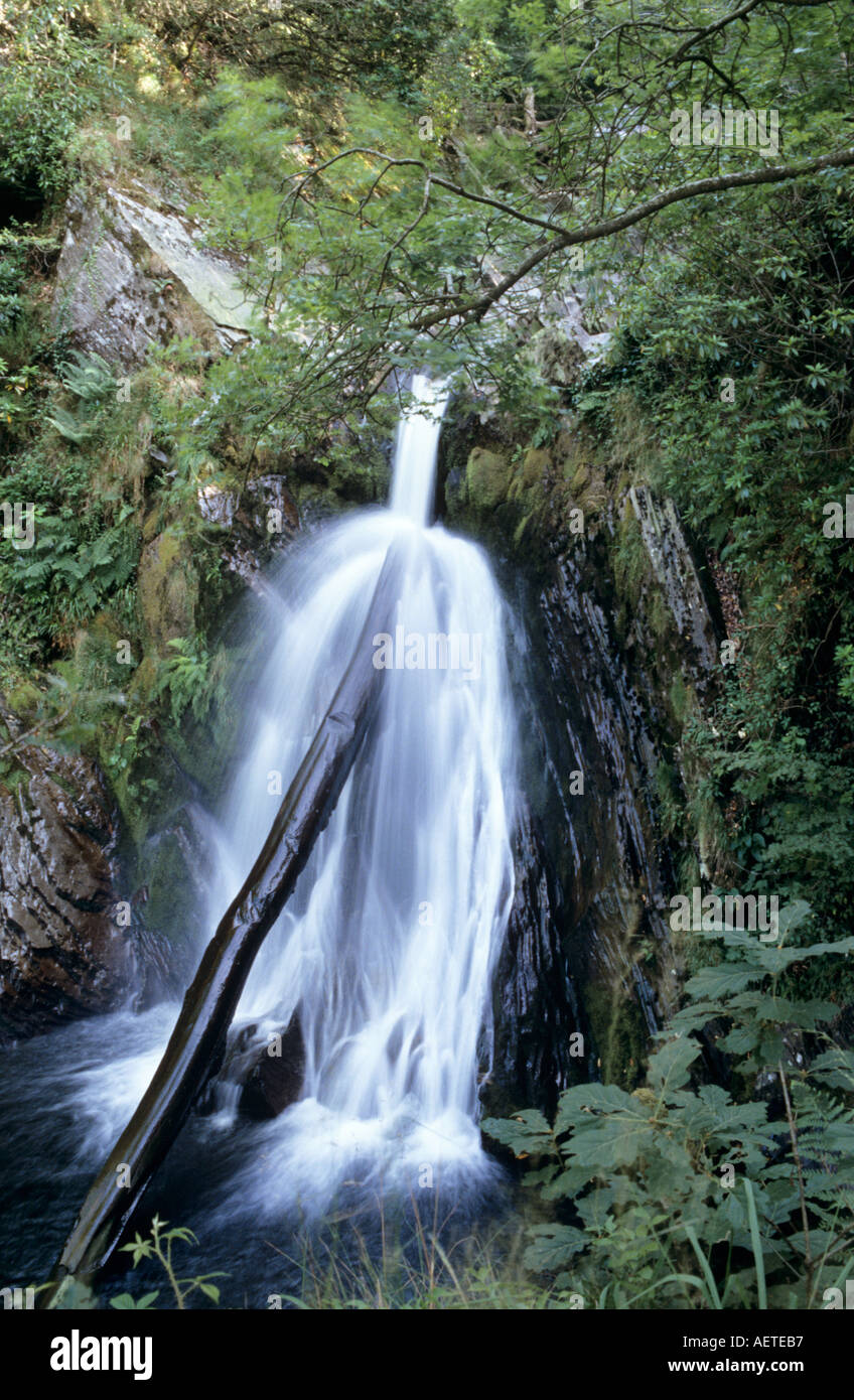 Mynach Falls, Devils Bridge, Ceredigion, pays de Galles, Royaume-Uni Banque D'Images