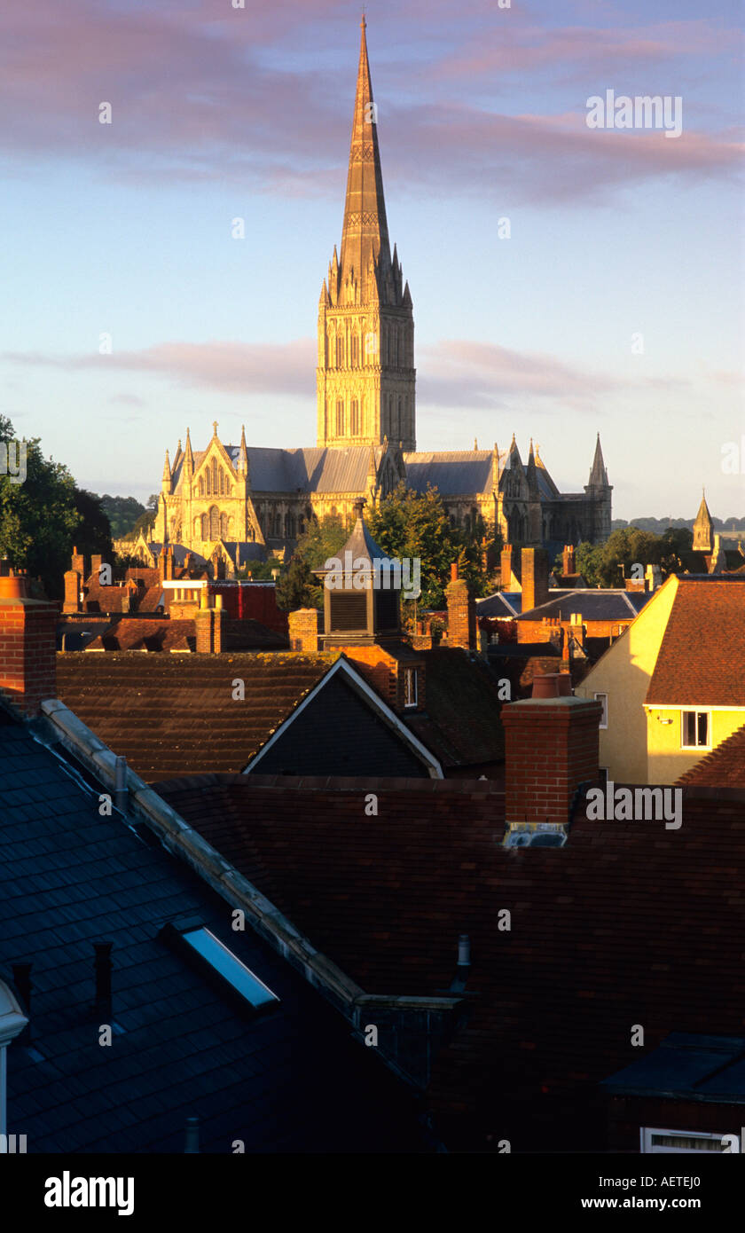 Tôt le matin, vue sur la cathédrale de Salisbury, Salisbury, Wiltshire, Angleterre, Royaume-Uni Banque D'Images