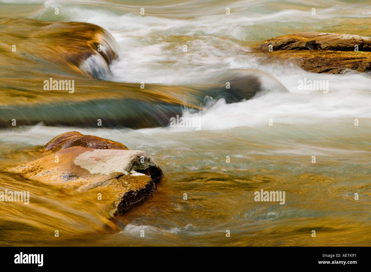 L'eau qui coule et les roches Zion National Park Banque D'Images