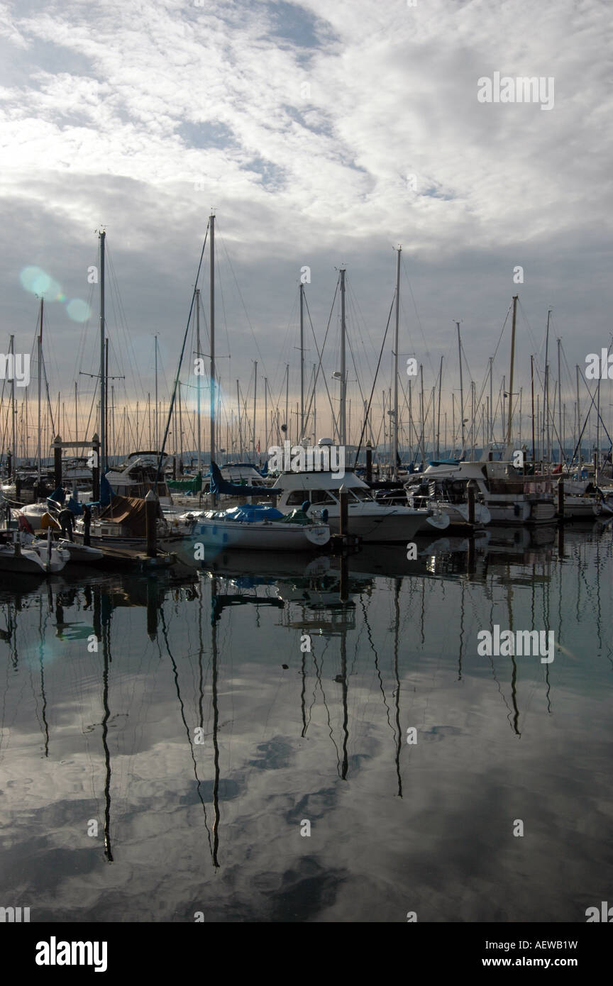 Bateaux amarrés dans la Marina à Shilshole Ballard, Washington, USA. Banque D'Images