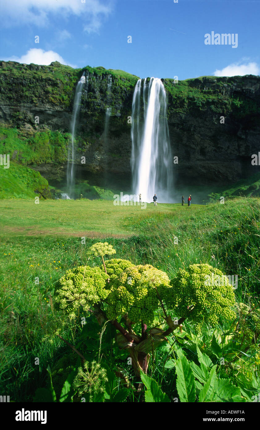 Cascade de Seljalandsfoss Islande dans le Sud Banque D'Images