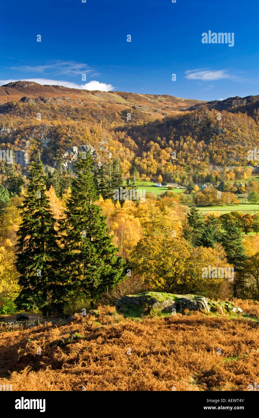 Vue éloignée sur la ferme haute Ledore en automne à partir de la Cat Cloches, Près de Keswick, Parc National de Lake District, Cumbria, England, UK Banque D'Images