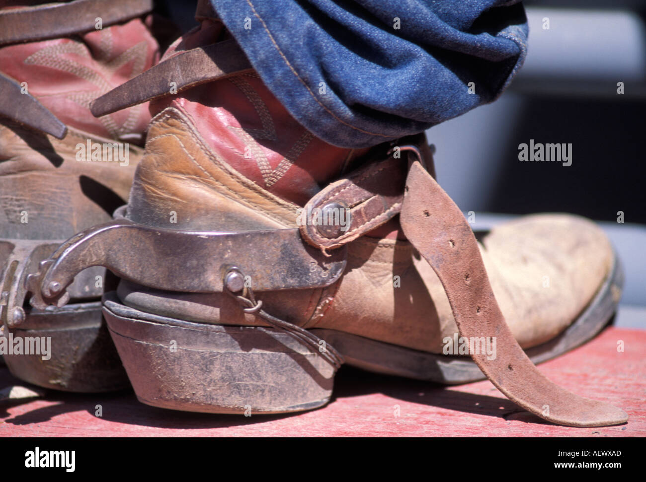 Stabilisateurs d'éperons Weaver Leather – Western Apparel
