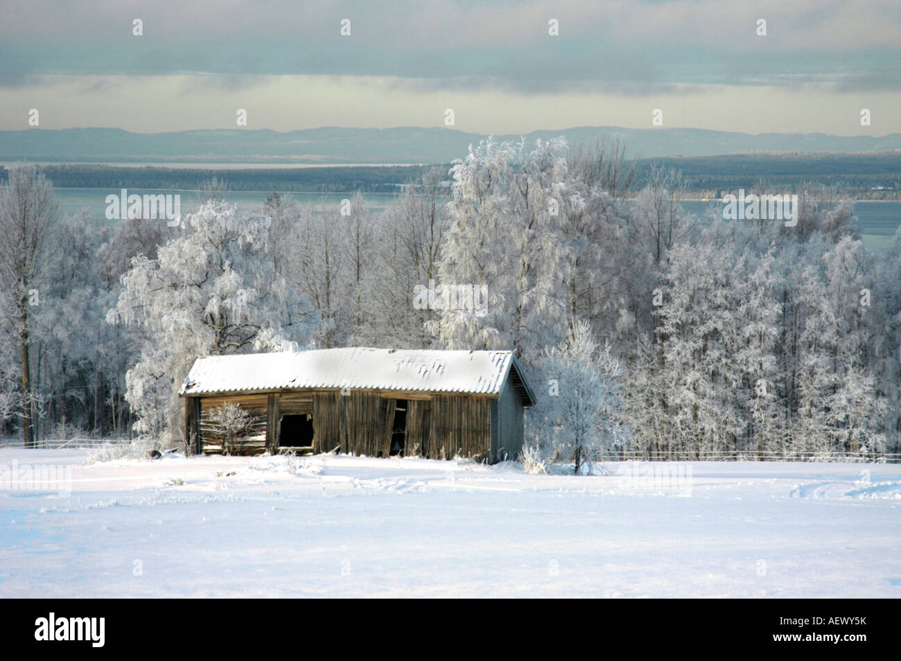 L'hiver en Dalécarlie, en Suède. Banque D'Images