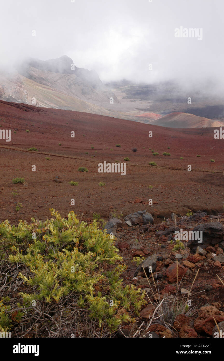 Le Caldera Haleakala, un cratère volcanique, dans l'Est de l'île de Maui, Hawaii. Banque D'Images