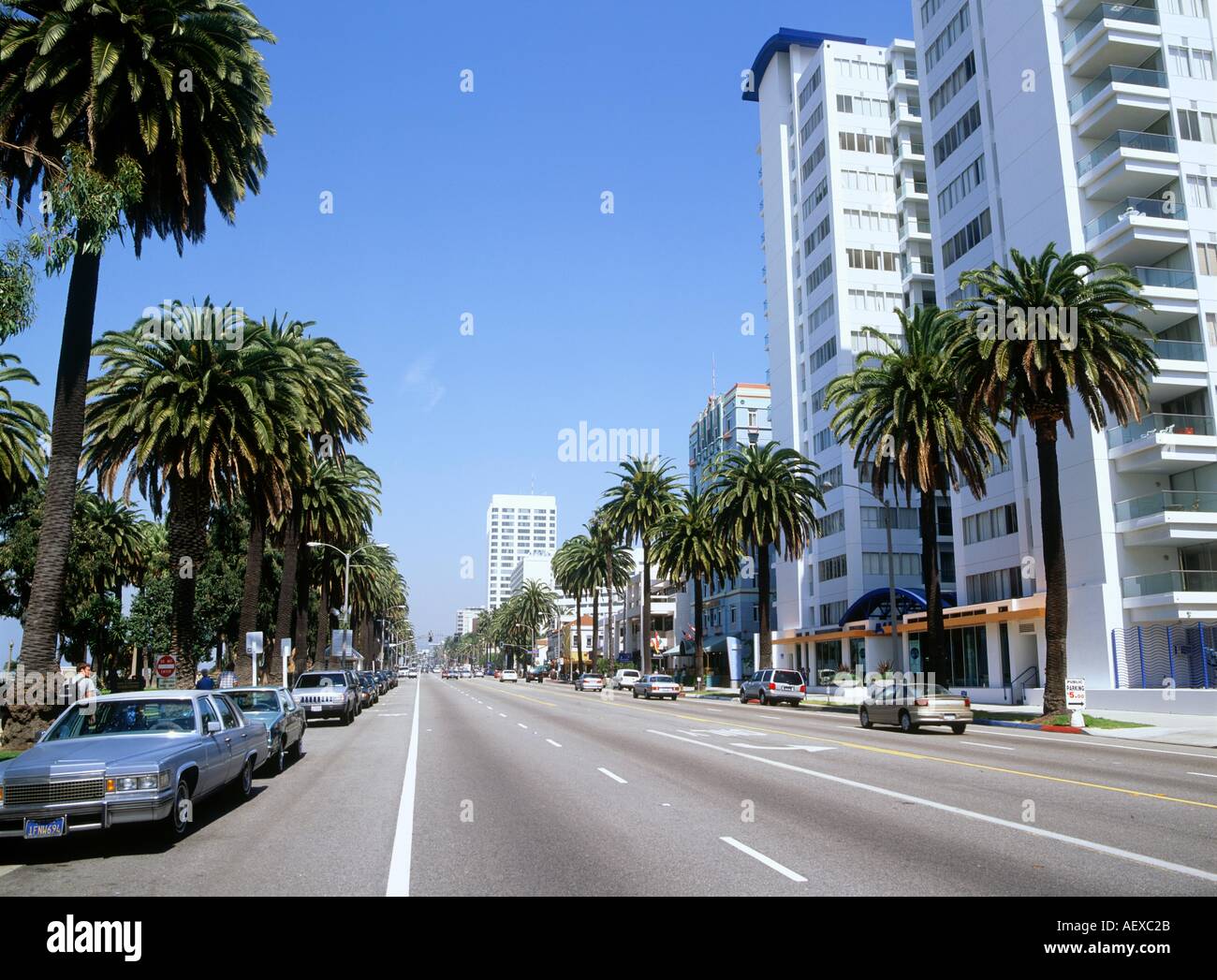 Pacific Ave Santa Monica LOS ANGELES USA Banque D'Images