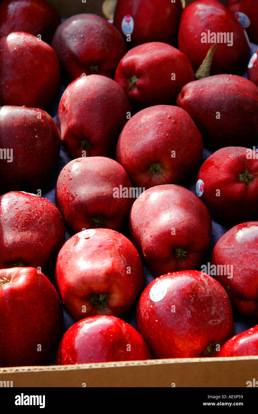 Pommes de fruits rouges, une pomme par jour garde le médecin loin Banque D'Images