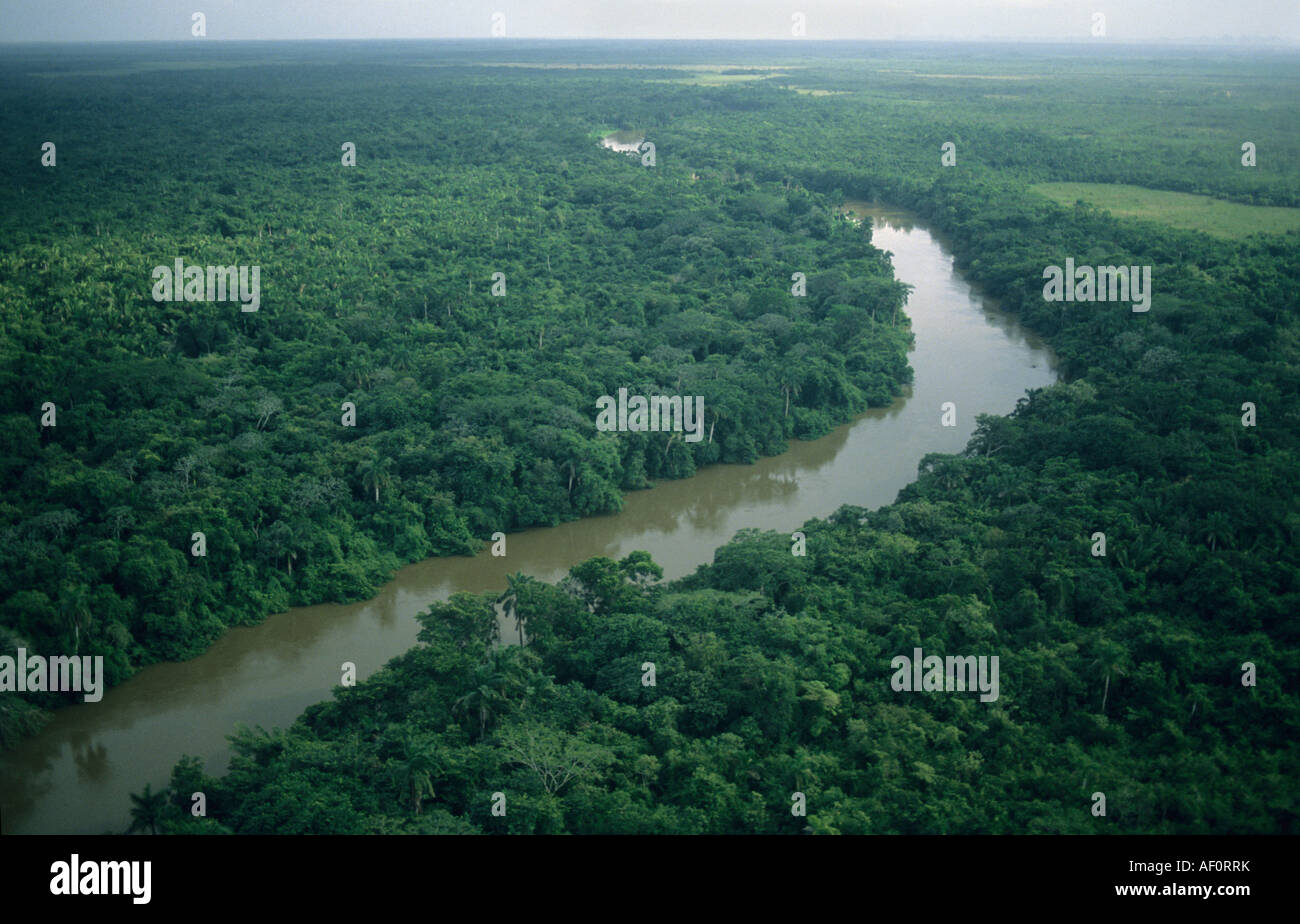 Rivière et forêt tropicale de plaine de BELIZE, Belize, en Amérique centrale, antenne Banque D'Images