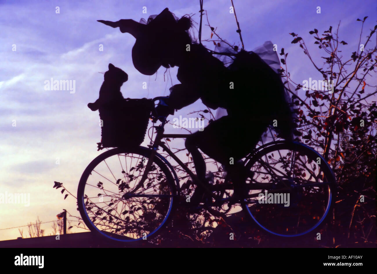 Une sorcière en silhouette est équitation son vélo, bien qu'en vol, avec son chat noir au crépuscule dans l'Utah, USA. Banque D'Images