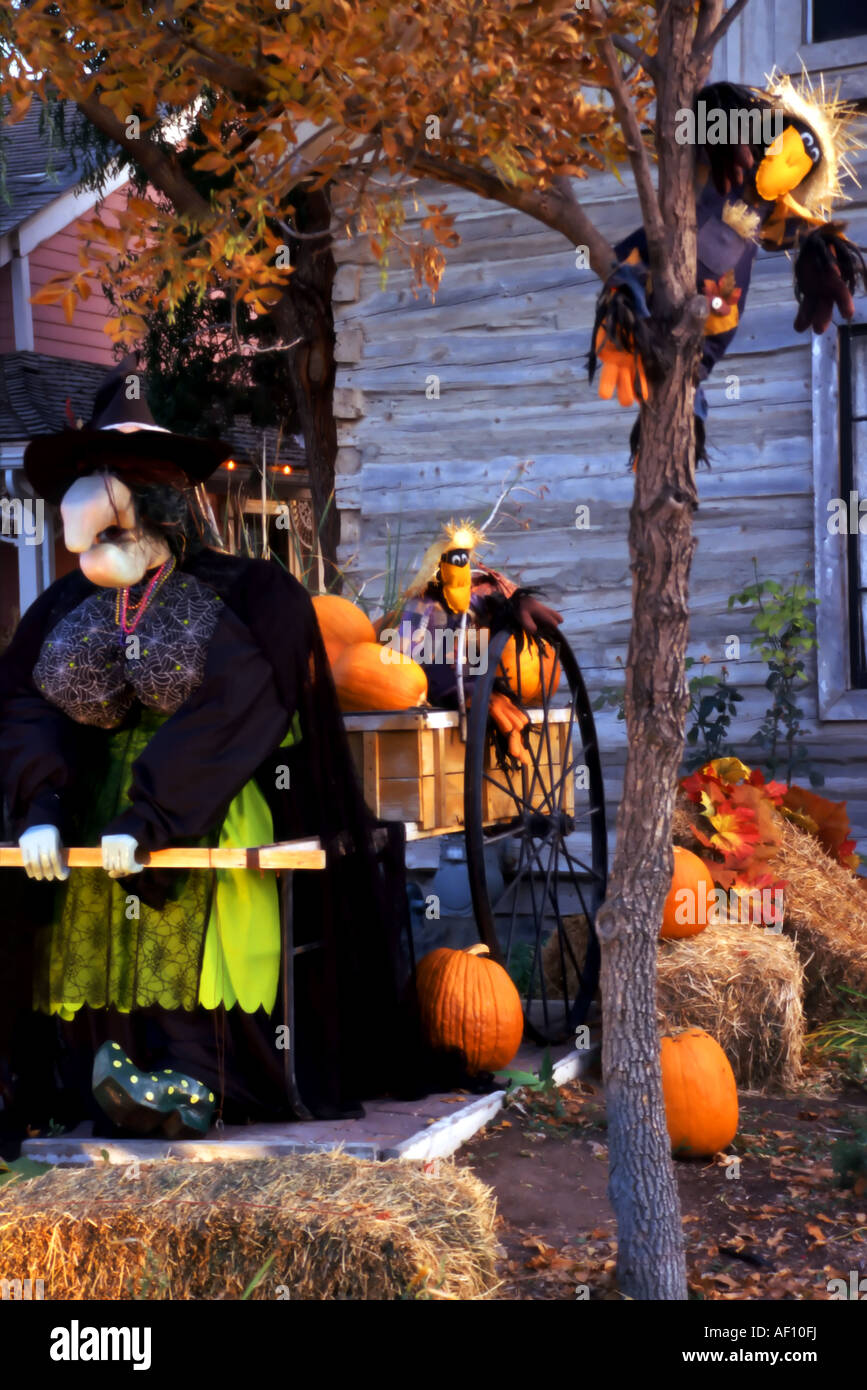 Une sorcière avec un tablier d' araignée tire une charrette pleine de citrouilles comme des paresseux les corneilles. Banque D'Images