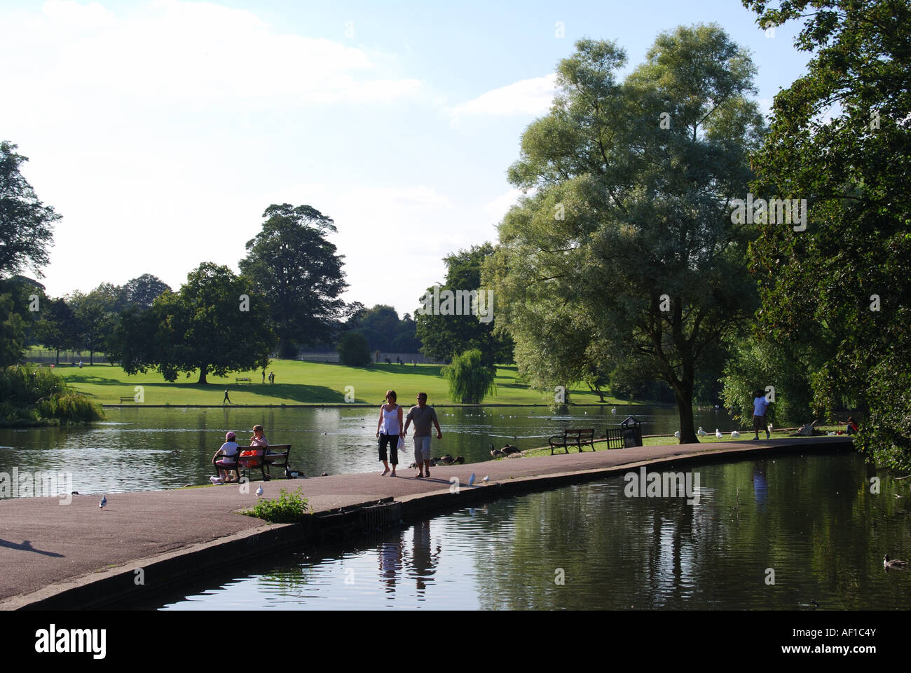 Verulamium Park, St Albans, Hertfordshire, Angleterre, Royaume-Uni Banque D'Images