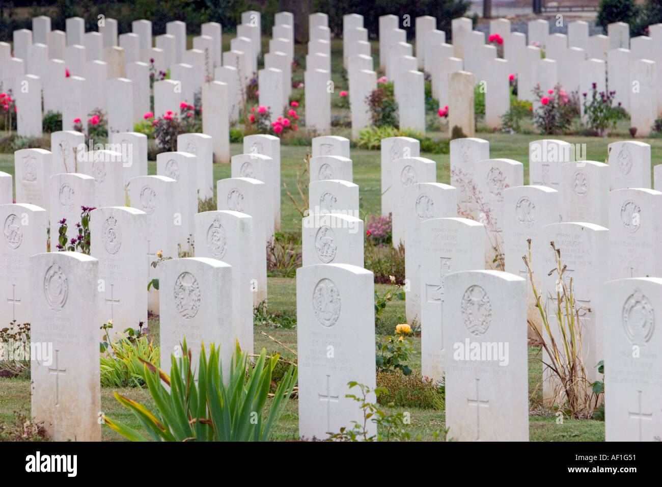 Rangées de WW2 militaires alliés soldats tombes du cimetière militaire Ranville Normandie France Banque D'Images