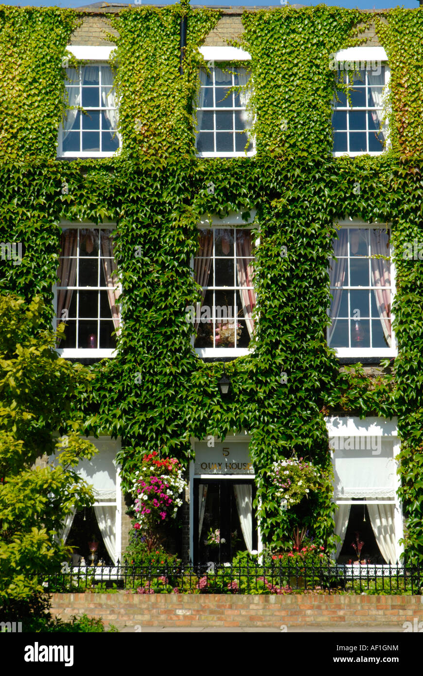 Le Ivy couverts Quay House Hôtel Quayside Ely Cambridgeshire Angleterre Banque D'Images