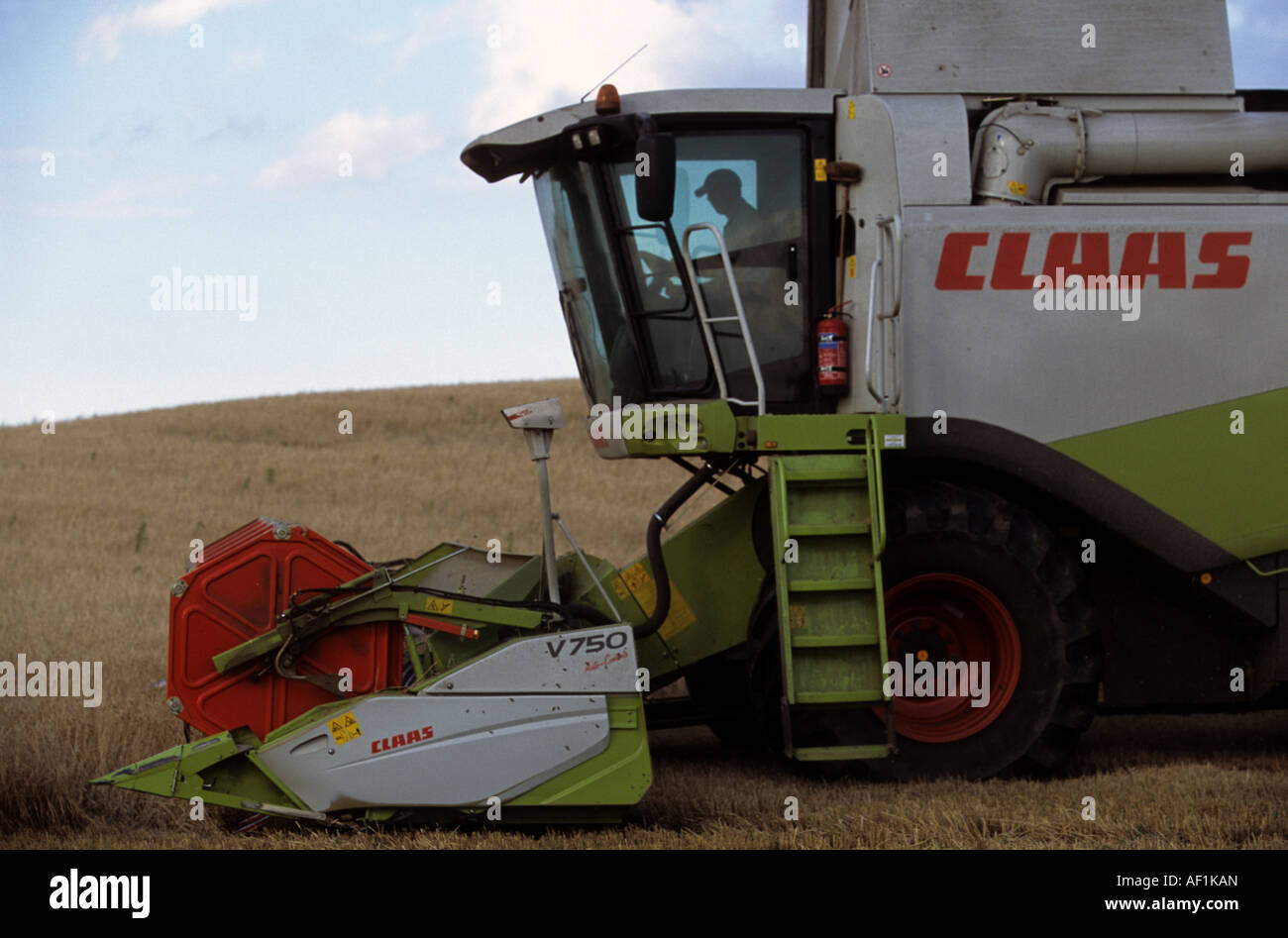 Moissonneuse-batteuse Claas blé de coupe sur les terres agricoles près de Rogue, Suffolk, UK. Banque D'Images