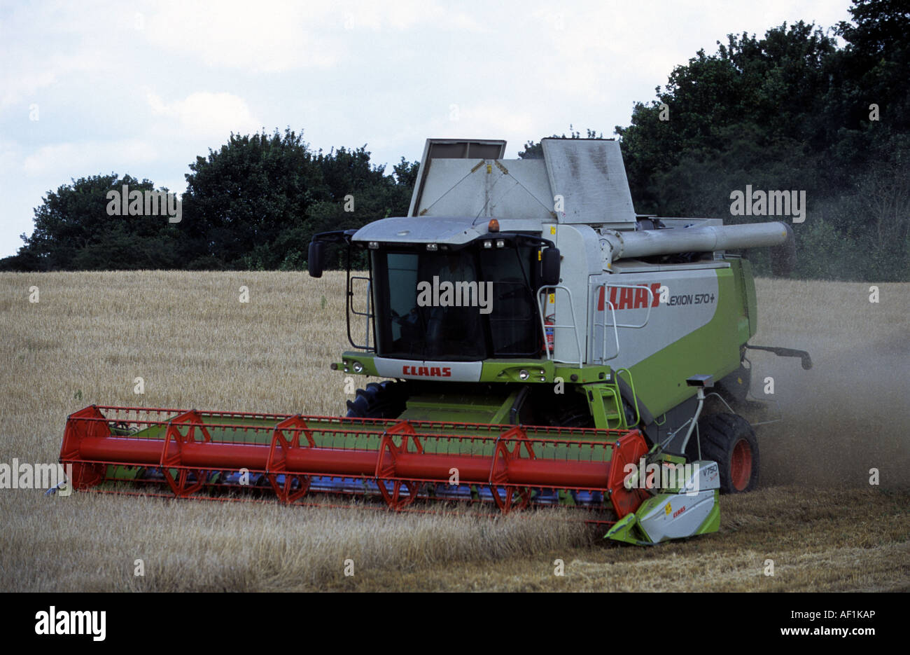 Moissonneuse-batteuse Claas blé de coupe sur les terres agricoles près de Rogue, Suffolk, UK. Banque D'Images