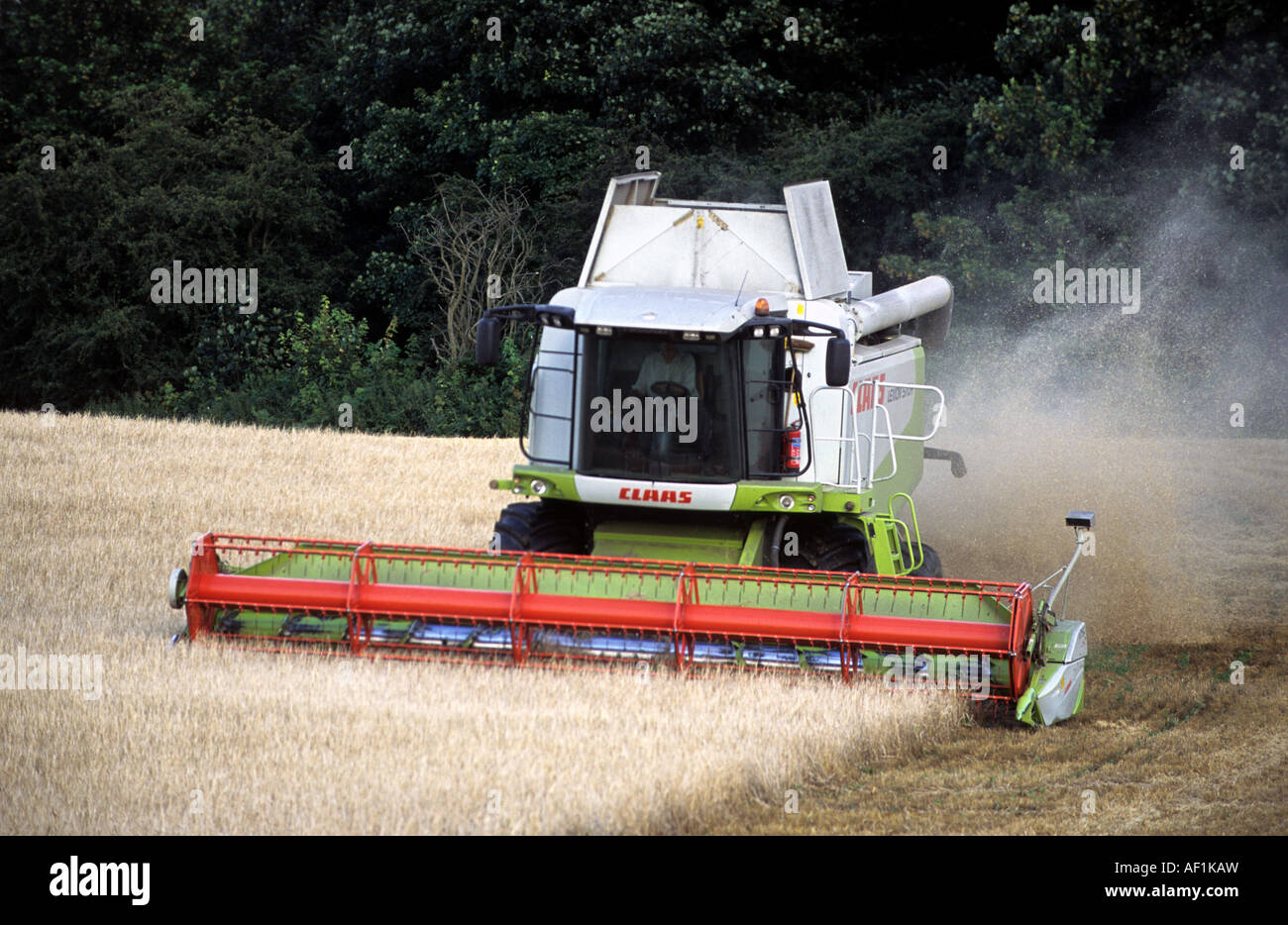 Moissonneuse-batteuse Claas blé de coupe sur les terres agricoles près de Rogue, Suffolk, UK. Banque D'Images