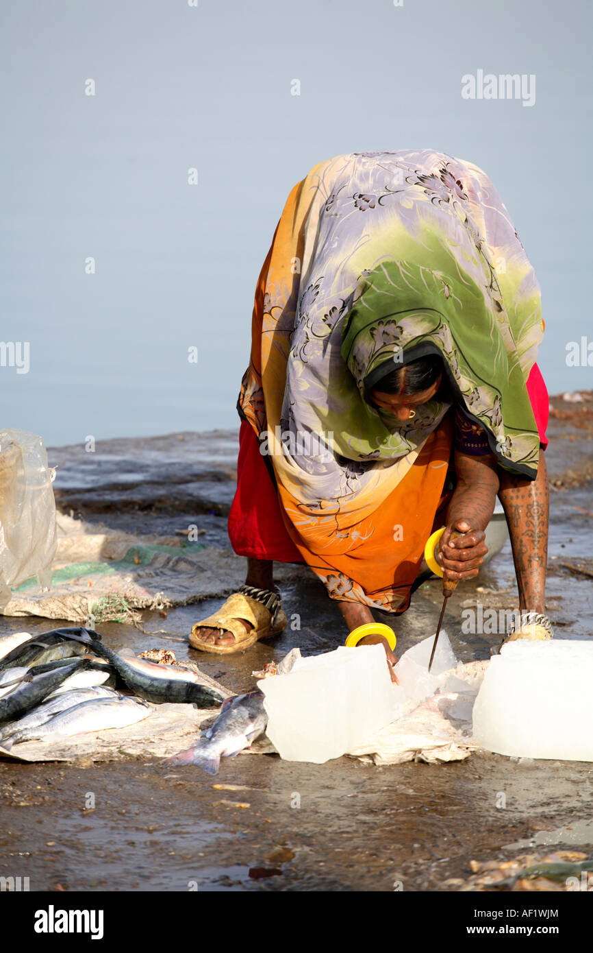 Pêcheur indien tribal qui coupe un bloc de glace pour emballer du poisson, Vanakbara Fishing Village, DIU Island, Gujarat, Inde Banque D'Images