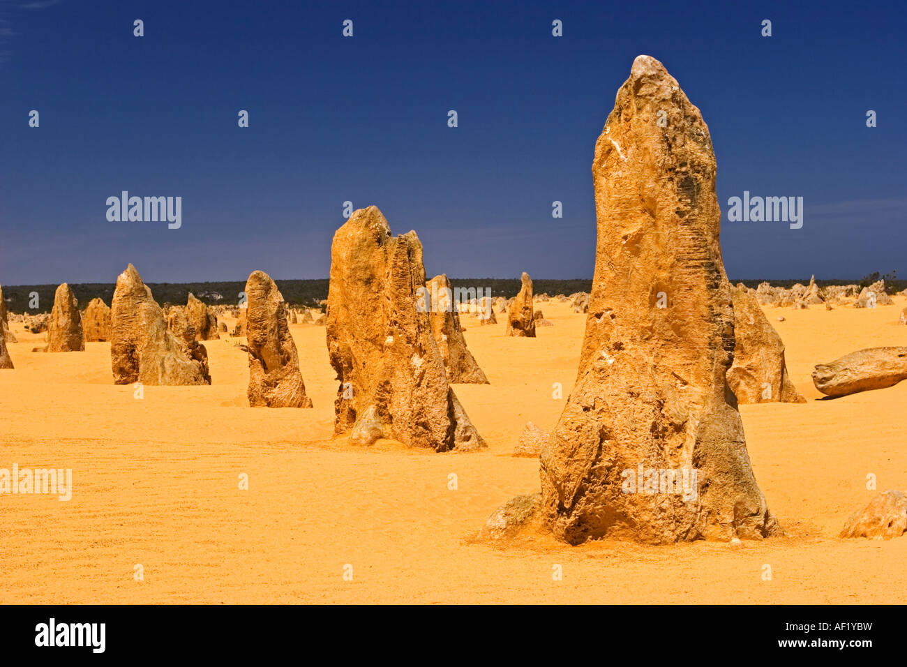 Les Pinnacles, le Parc National de Nambung, Australie occidentale Banque D'Images
