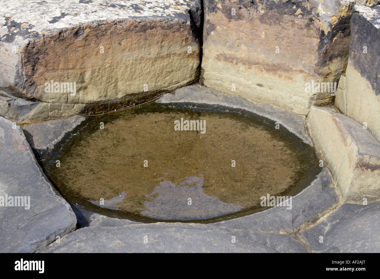 Piscine d'eau de mer dans la surface concave d'une colonne de basalte à la Giant's Causeway, comté d'Antrim, en Irlande du Nord, Royaume-Uni. Banque D'Images