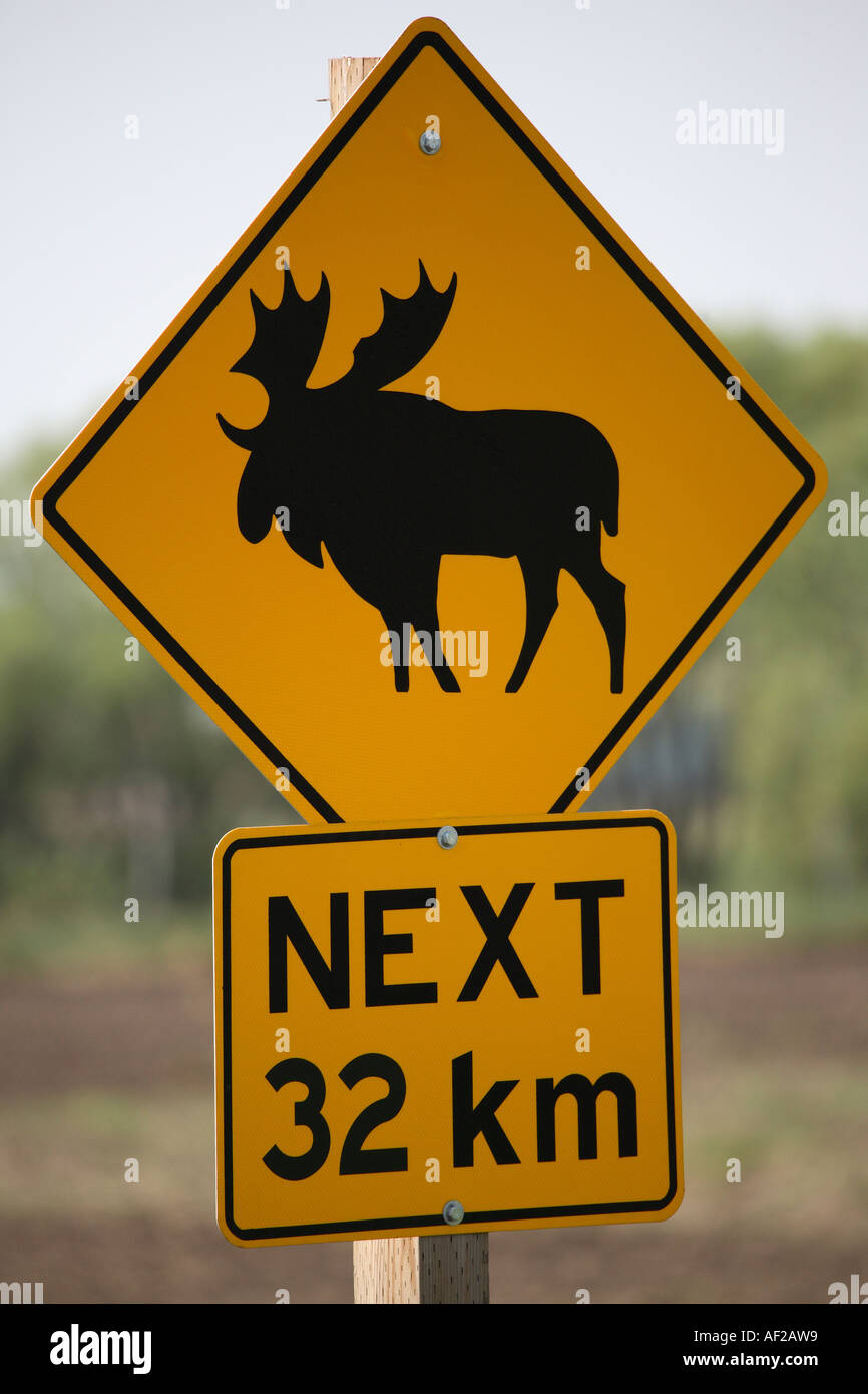 Signe de mise en garde à Stoughton pour traverser la route de l'orignal dans la région pittoresque de la Saskatchewan Canada Banque D'Images