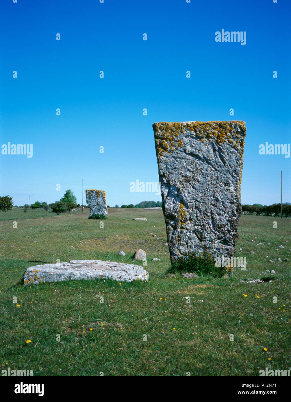 Le 'King's Stones', deux 'Fin' de l'âge du fer, des pierres debout près de Ås, Sud d'Öland, Suède. Banque D'Images