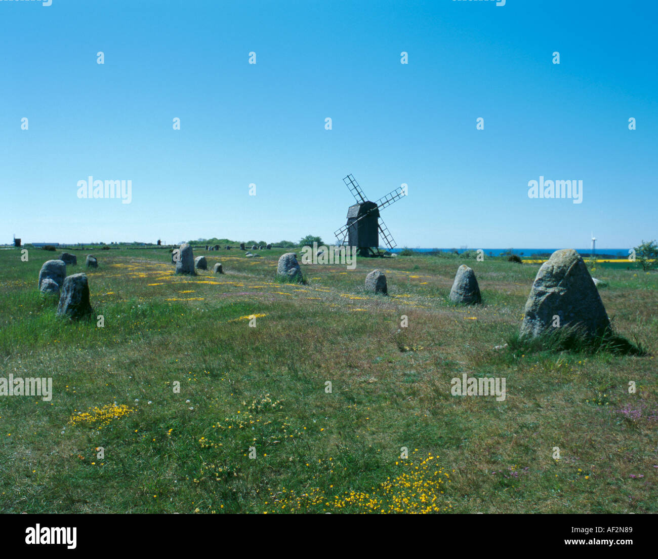 Grand 'décor de la hanche', cimetière Gettlinge 'Iron Age', Öland du sud, Suède. Banque D'Images