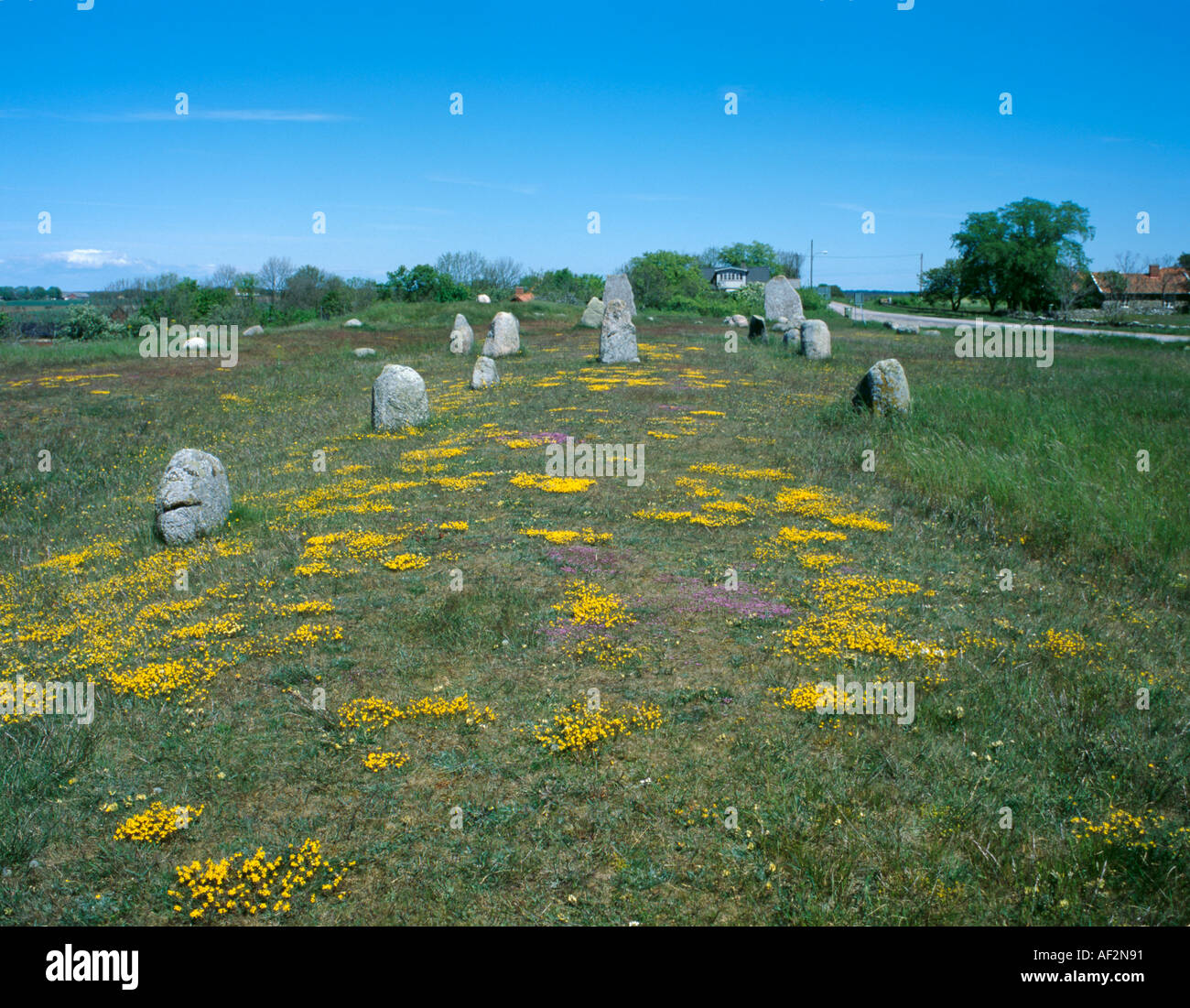 Grand 'navire', de l'âge du fer, gettlinge cimetière sud d'Öland, suède. Banque D'Images