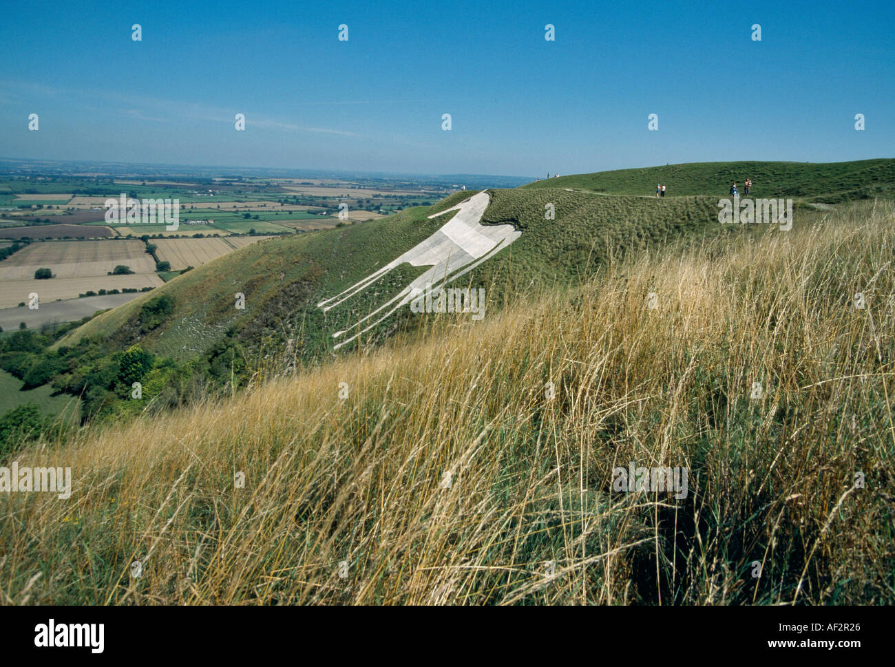 WESTBURY WHITE HORSE CAMP BRATTON WESTBURY WILTSHIRE ENGLAND UK Banque D'Images