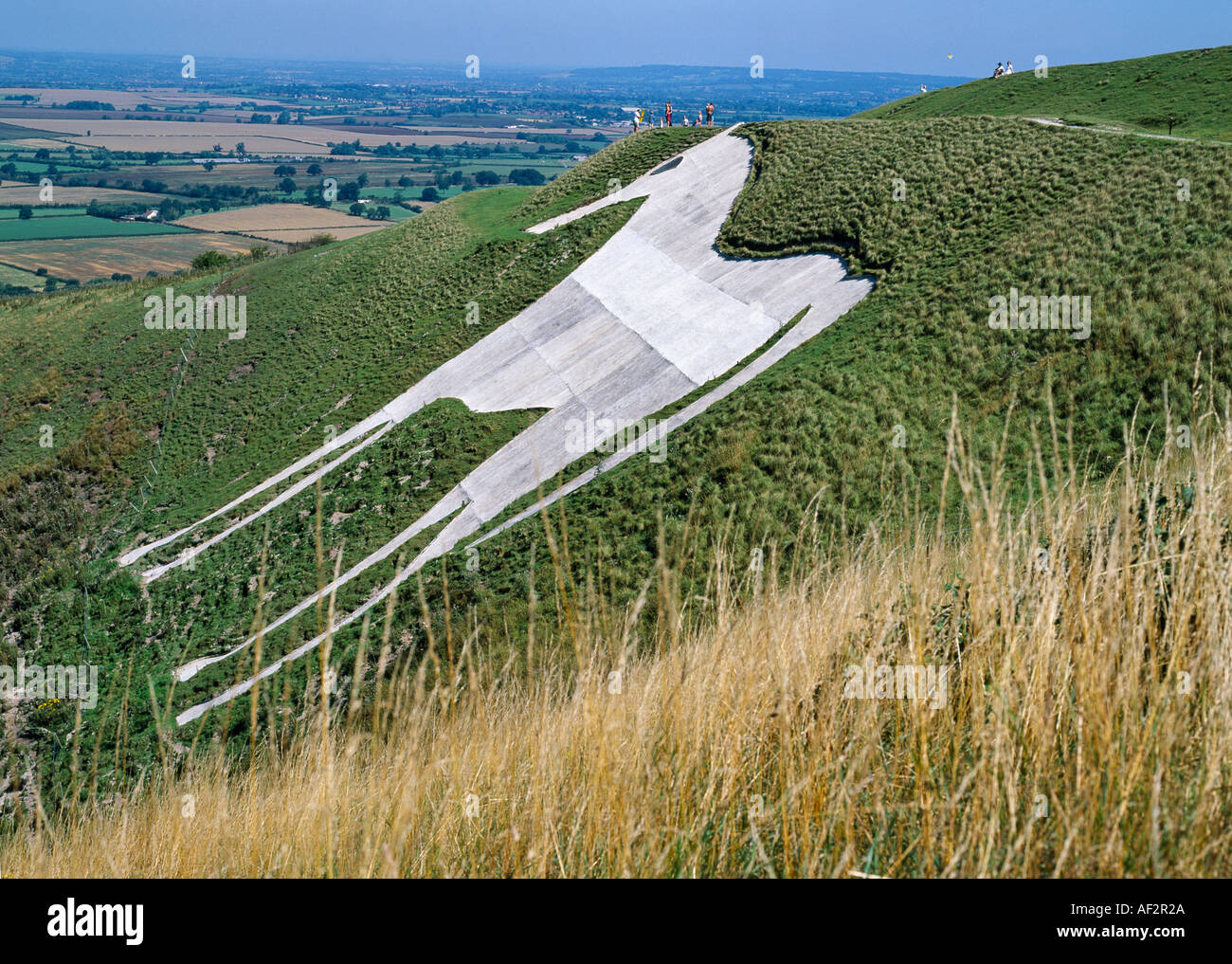 WESTBURY WHITE HORSE CAMP BRATTON WESTBURY WILTSHIRE ENGLAND UK Banque D'Images