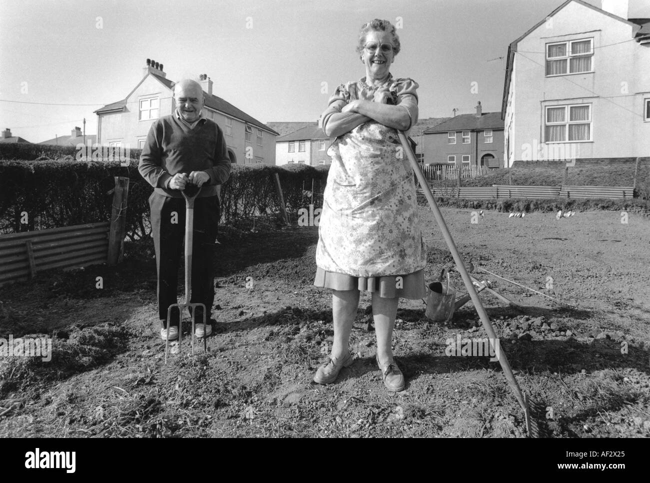 Leur couple gardening together en cour arrière Dover Kent.. Banque D'Images