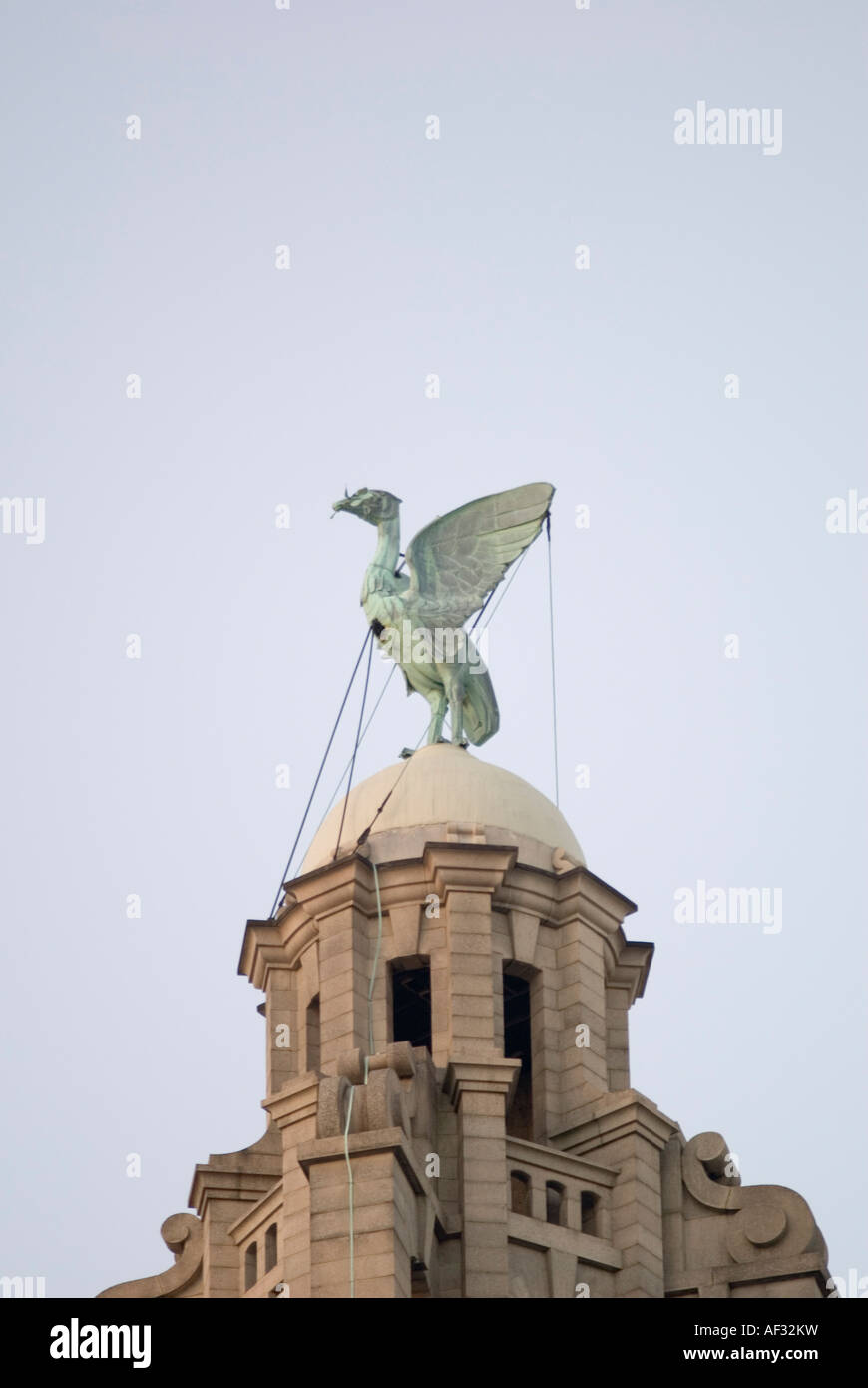 Le liver bird haut de Royal Liver Building, Liverpool Banque D'Images