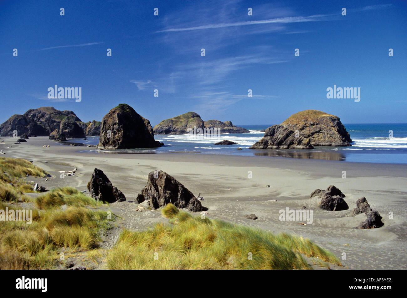 Les rochers et la plage de la côte de l'Oregon au sud de Coos Bay USA Banque D'Images