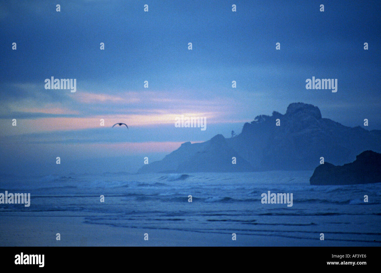 Plage avec vol de mouettes à la tombée de la côte de l'Oregon au sud de Coos Bay USA Banque D'Images